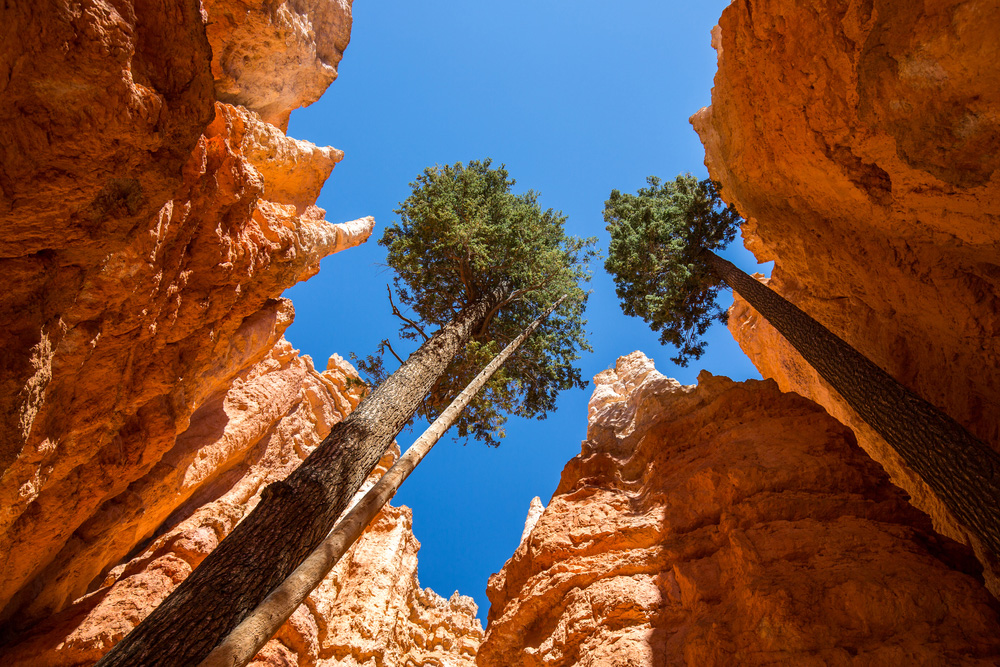 bryce canyon najavo loop