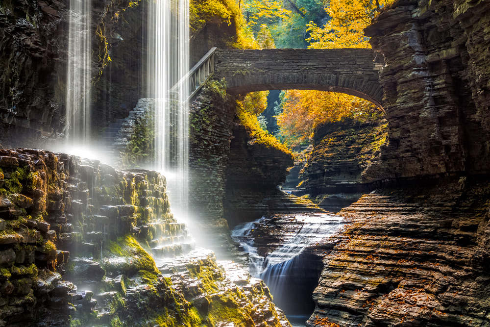 watkins glenn state park